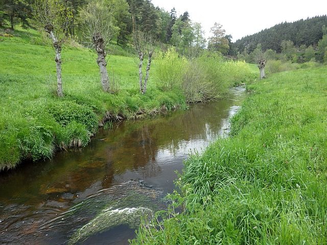 Reportage Chapouillet dépt Lozère 48 Avozetto Webzine Pêche Mouche