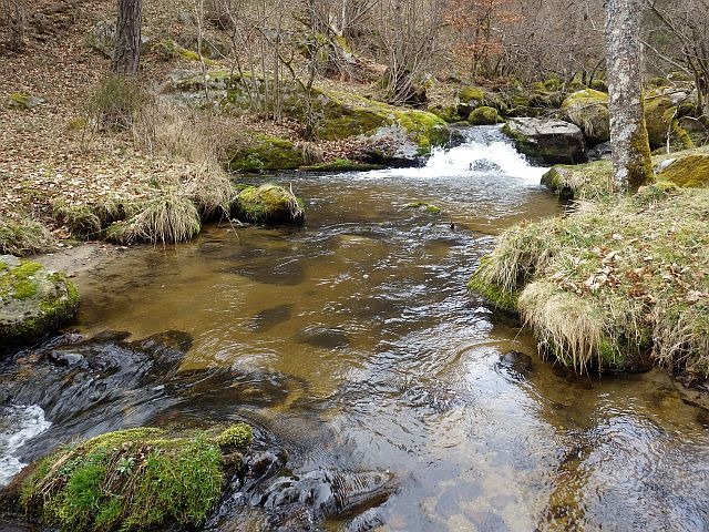 Reportage Limagnole dépt Lozère Avozetto Webzine Pêche Mouche